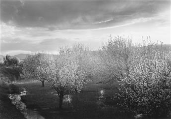 WILLIAM CLIFT (1944- ) Apple Blossoms, New Mexico * Rope Swing, Tesuque, New Mexico.